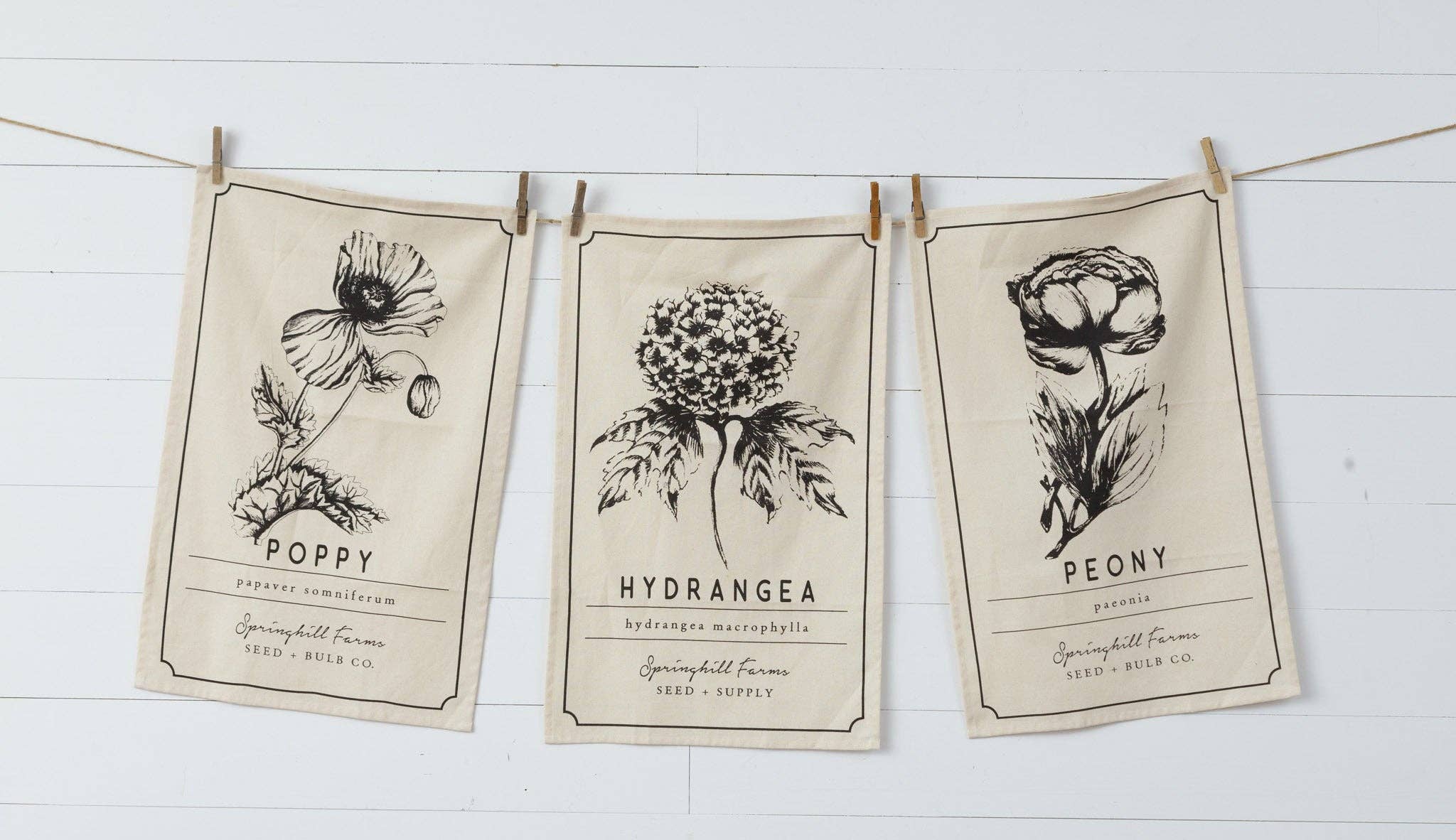 Tea Towels - Black And White Botanical